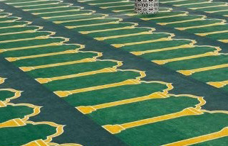 Cliquez pour agrandir