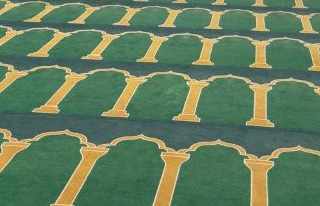 Cliquez pour agrandir